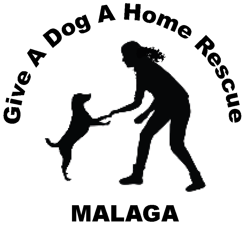 Give a dog a Home – Málaga – A dog rescue group in Southern Spain